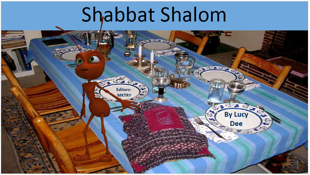 Lucy Dee Shabbat Book